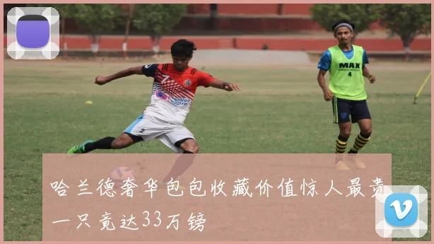 哈兰德奢华包包收藏价值惊人最贵一只竟达33万镑